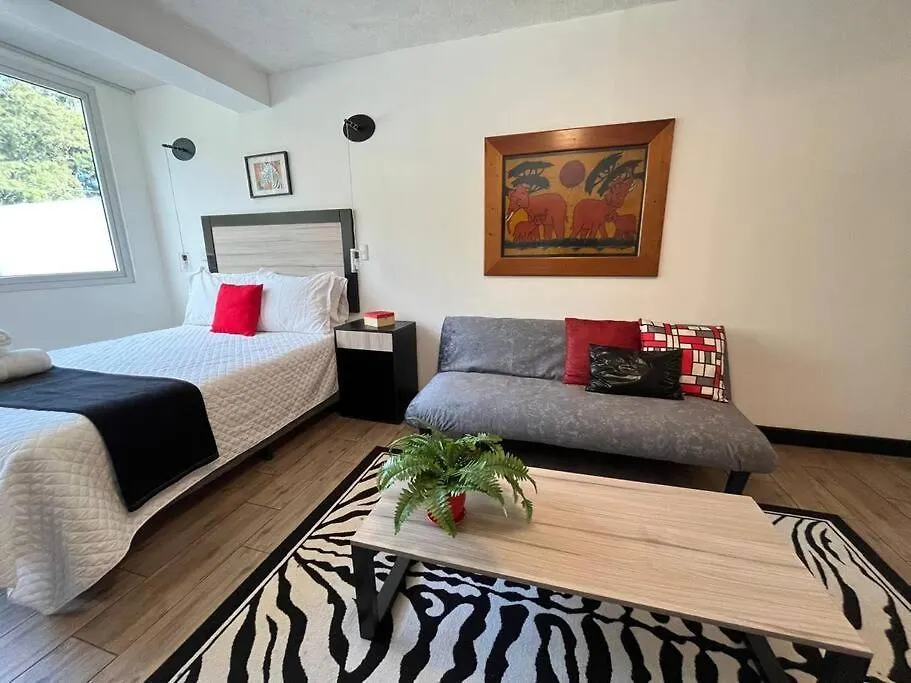 Apartment Dst3 Complete Studio In Zone 15 Guatemala City